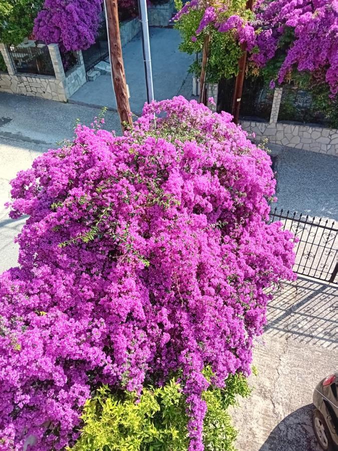 La Mira House Aparthotel Néosz Marmarász Kültér fotó